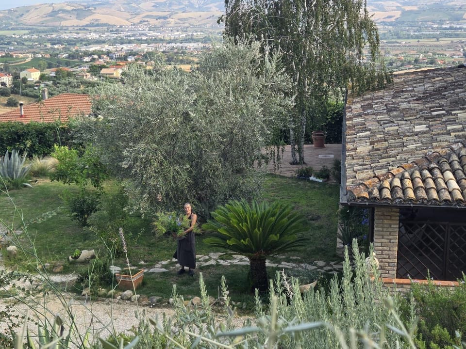 Garden
