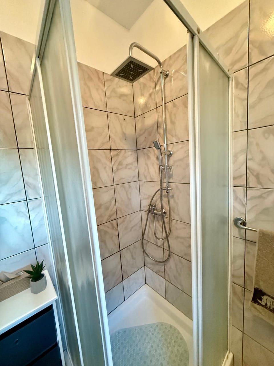 Shower, Bathroom