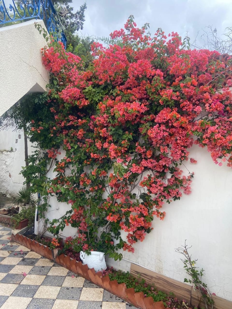 Spring, Garden, Garden view