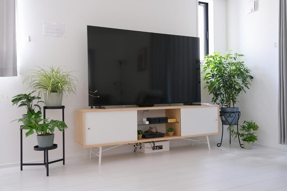 TV and multimedia