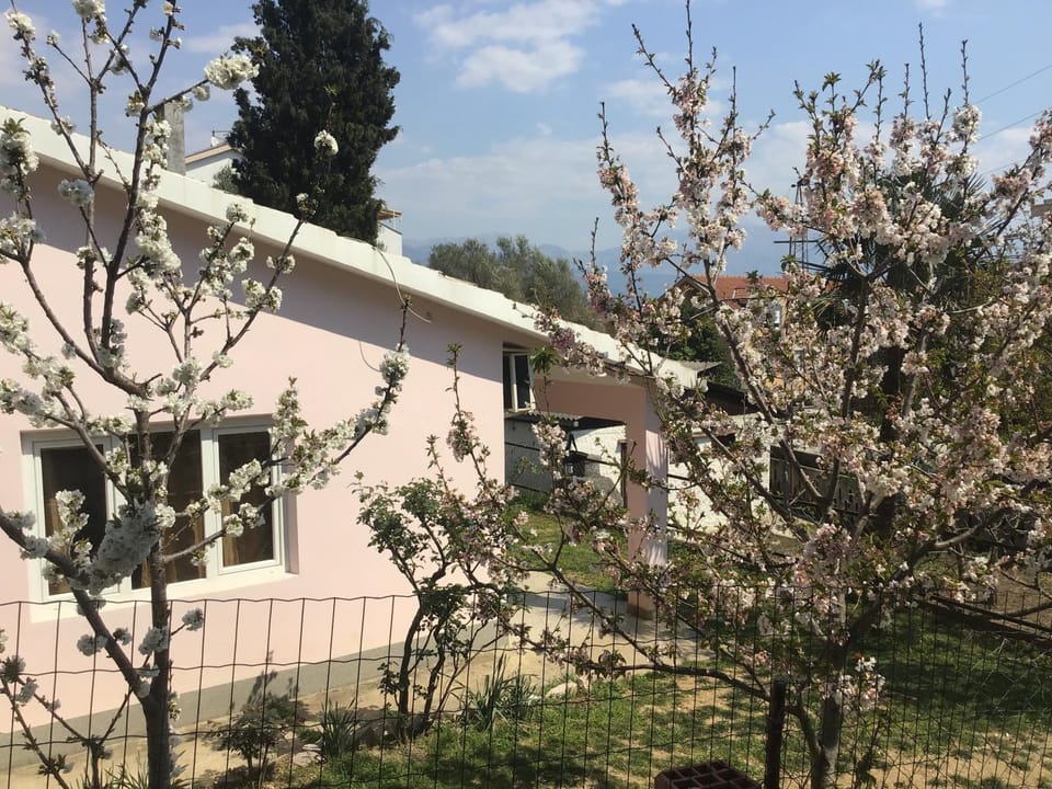 Rose House House in Montenegro