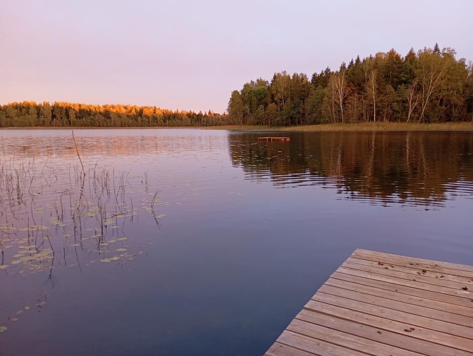 Lake view