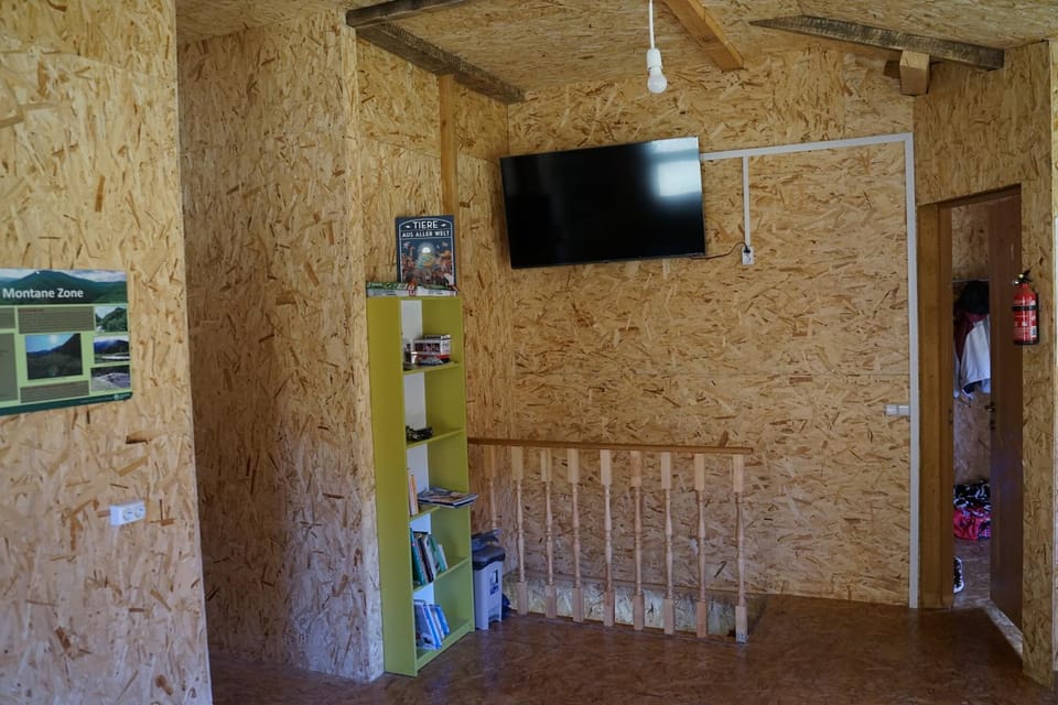 Communal lounge/ TV room, TV and multimedia