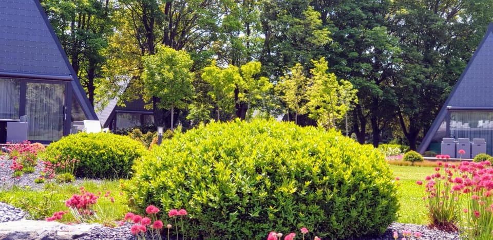 Garden, On site, Pool view