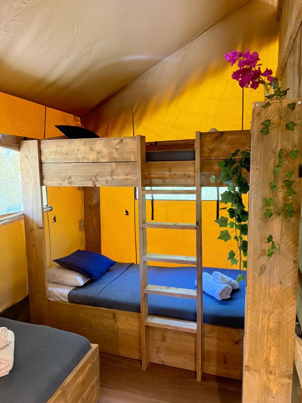 Bed, Photo of the whole room, Bedroom, bunk bed