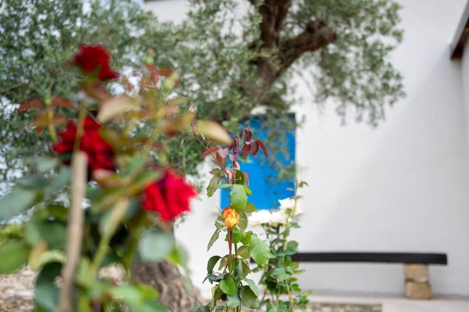 Luna Calante Tra gli Agrumi House in Sicily