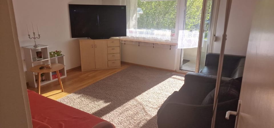 Birs View Room Apartment in Basel