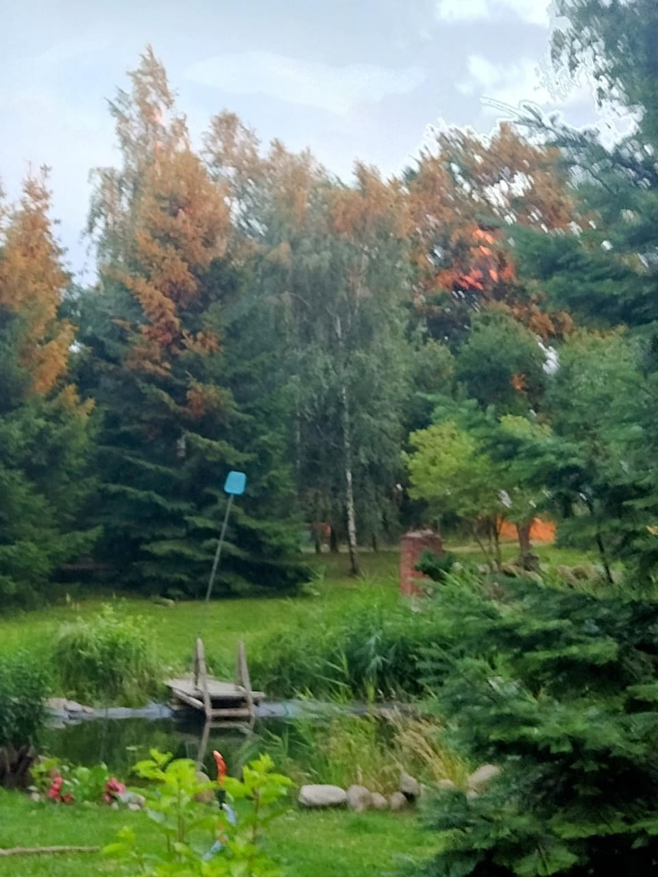 Day, Natural landscape, Garden, Garden view