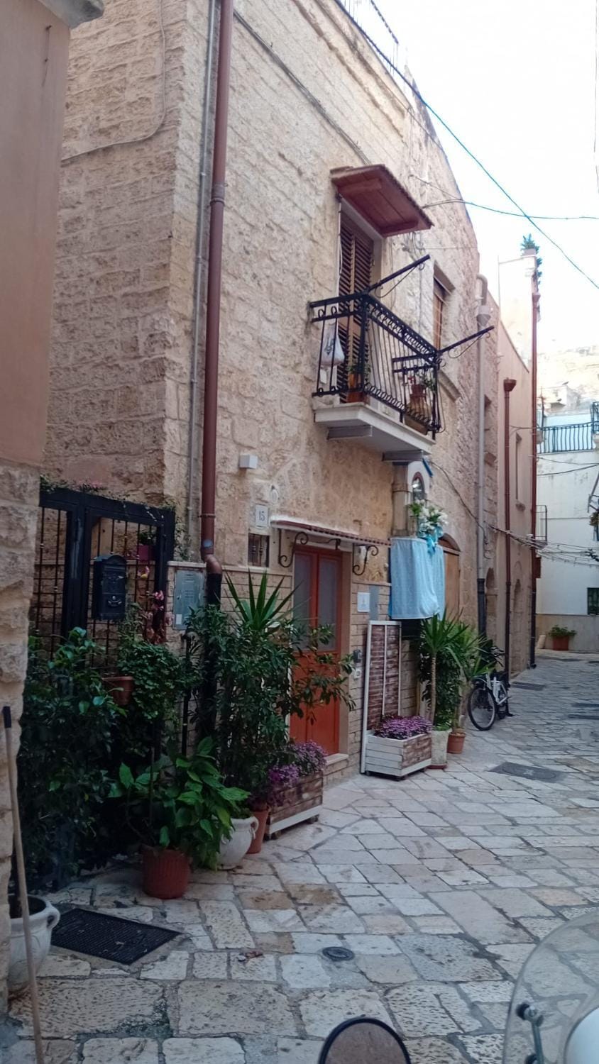 Neighbourhood, Street view