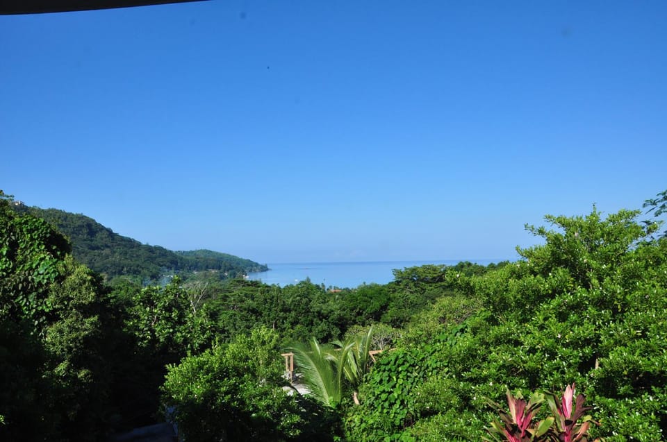 Sea view