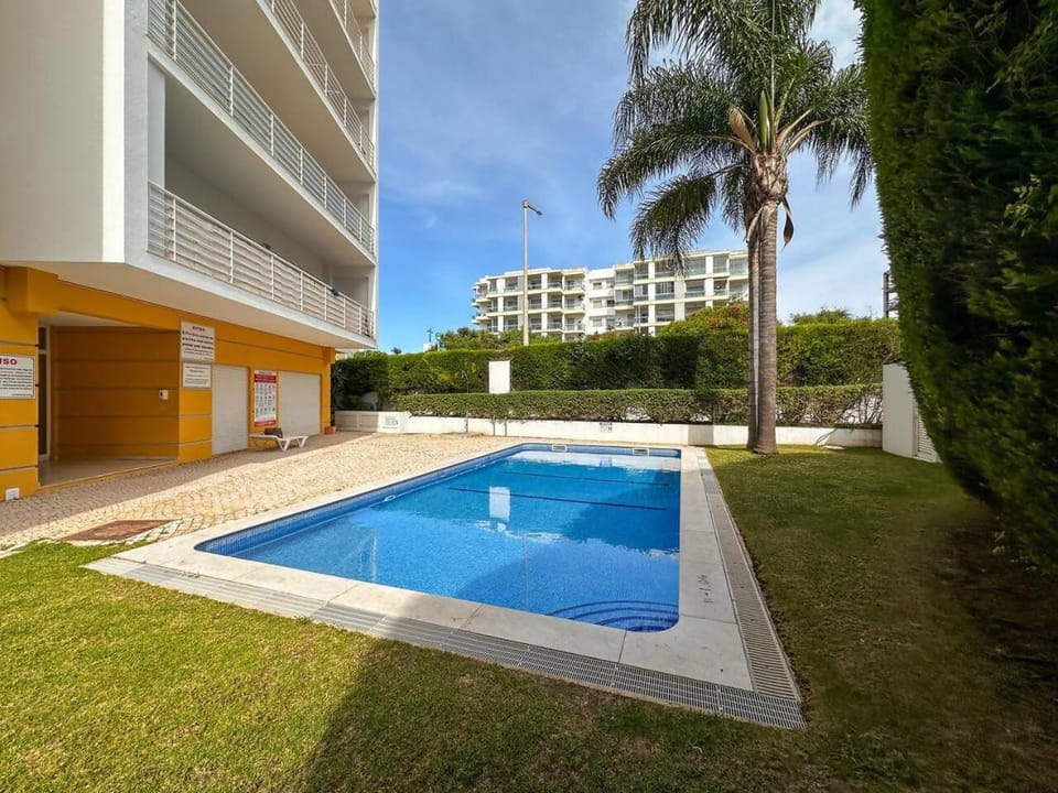 Garden, Pool view, Swimming pool