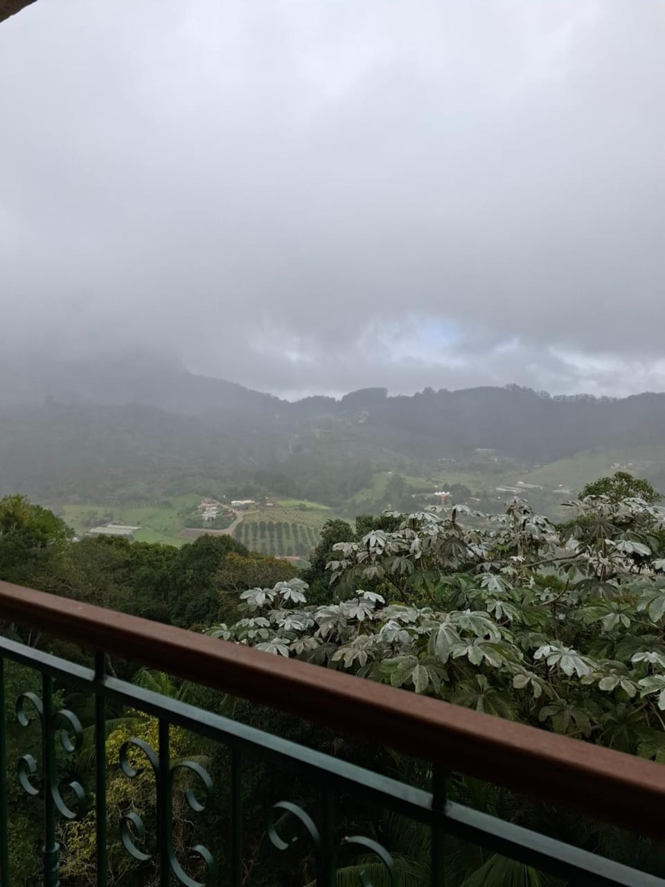 View (from property/room)