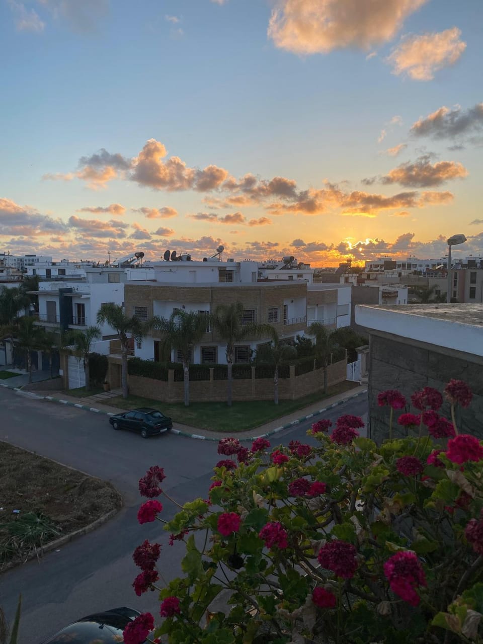 Spring, Natural landscape, Garden, Garden view, Sea view, Sunset
