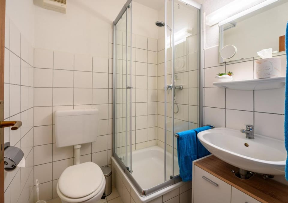 Shower, Toilet, Bathroom, towels
