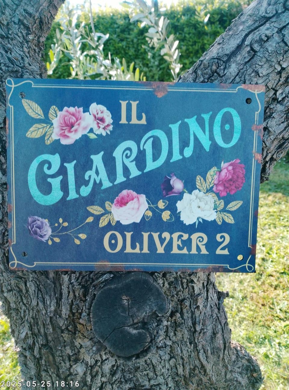 Appartamento Oliver2 Apartment in Emilia-Romagna