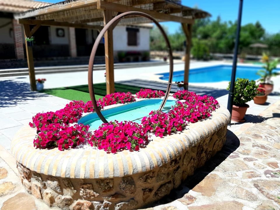 Pool view