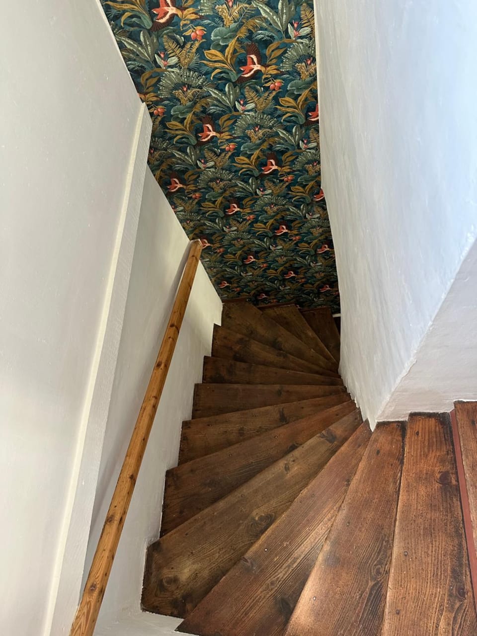 La Maisonnette House in Nimes