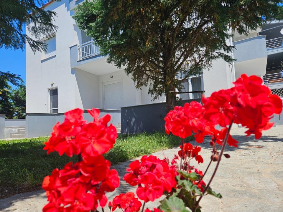 Nias Apartments 103 Apartment in Thasos