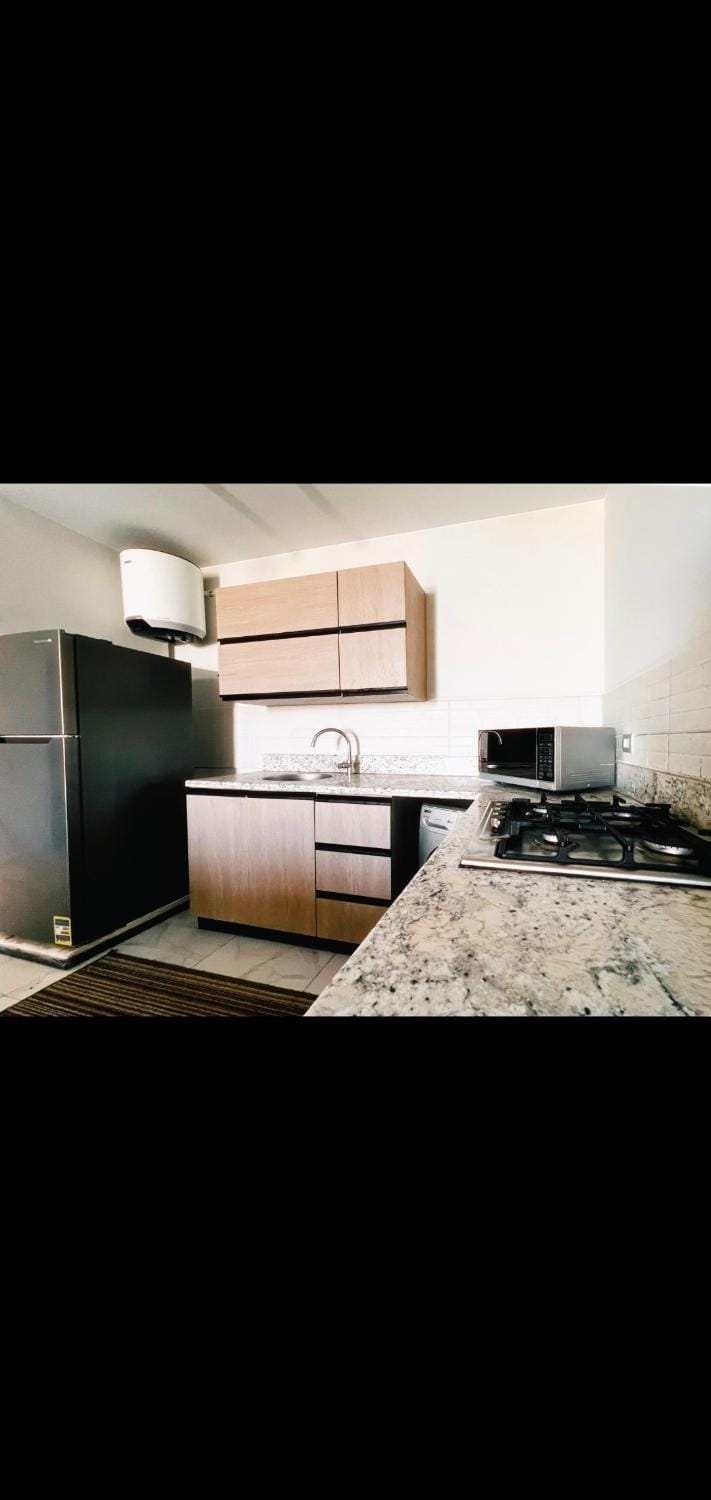 Kitchen or kitchenette, minibar, oven, stove