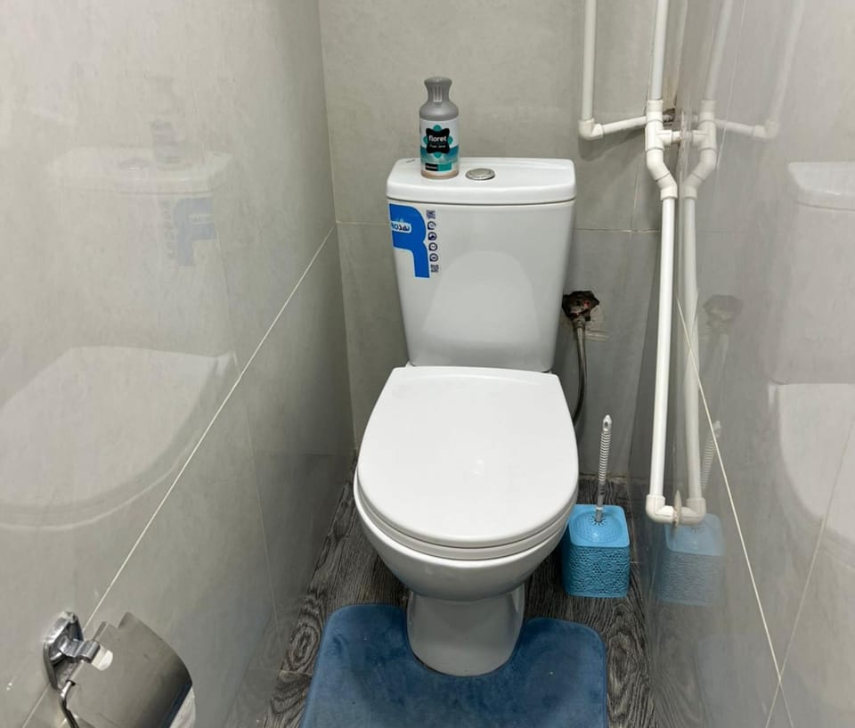 Shower, Toilet