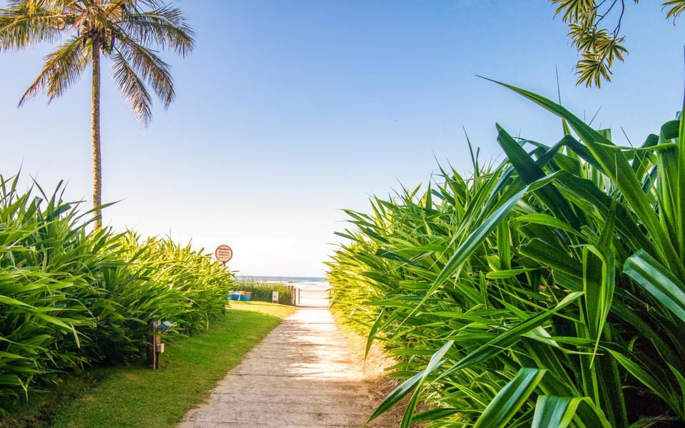 Natural landscape, Garden, Hiking, Sunrise, Sunset