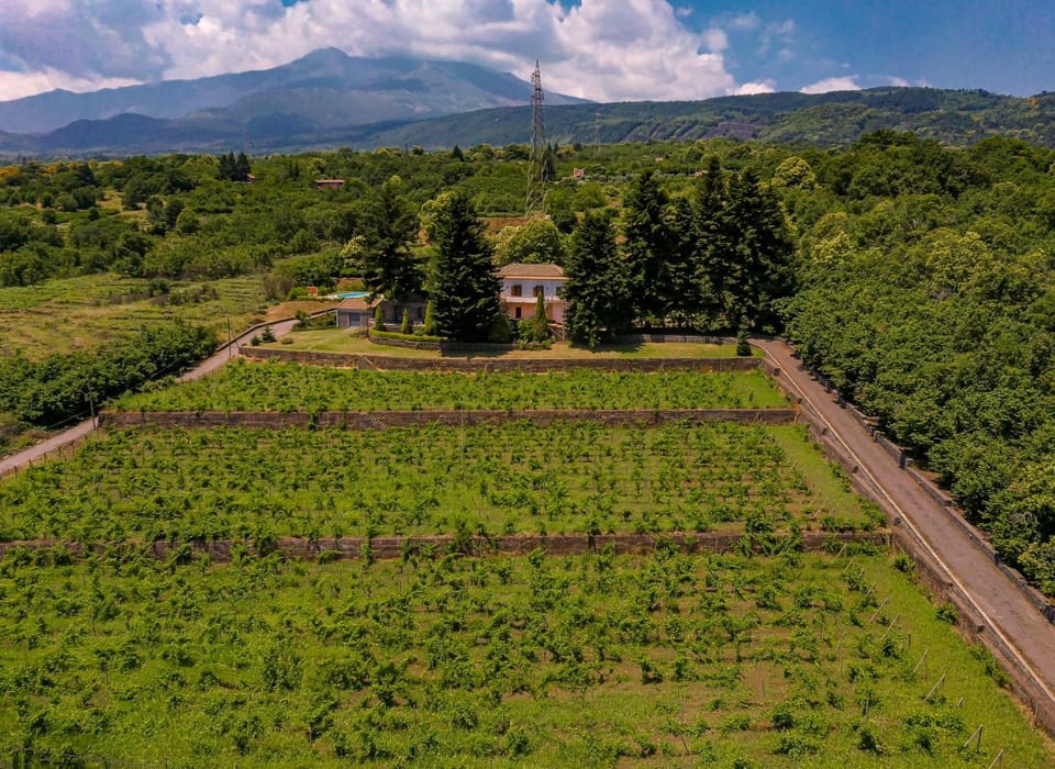 Bird's eye view, Garden view, Mountain view
