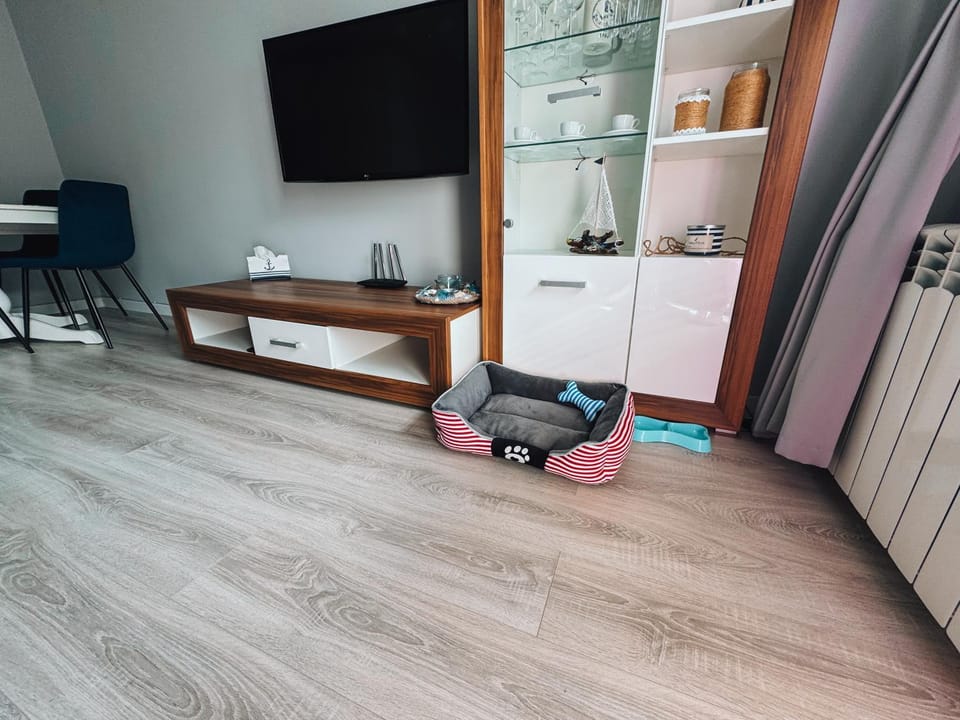 TV and multimedia, pet friendly