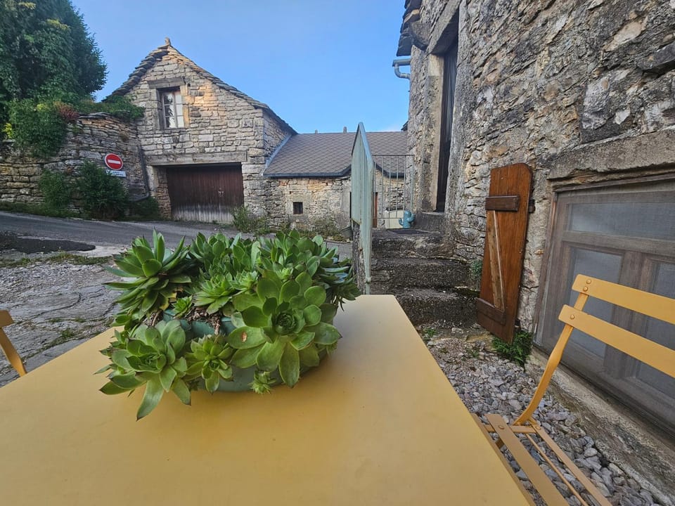 Charmante maison caussenarde House in Occitanie