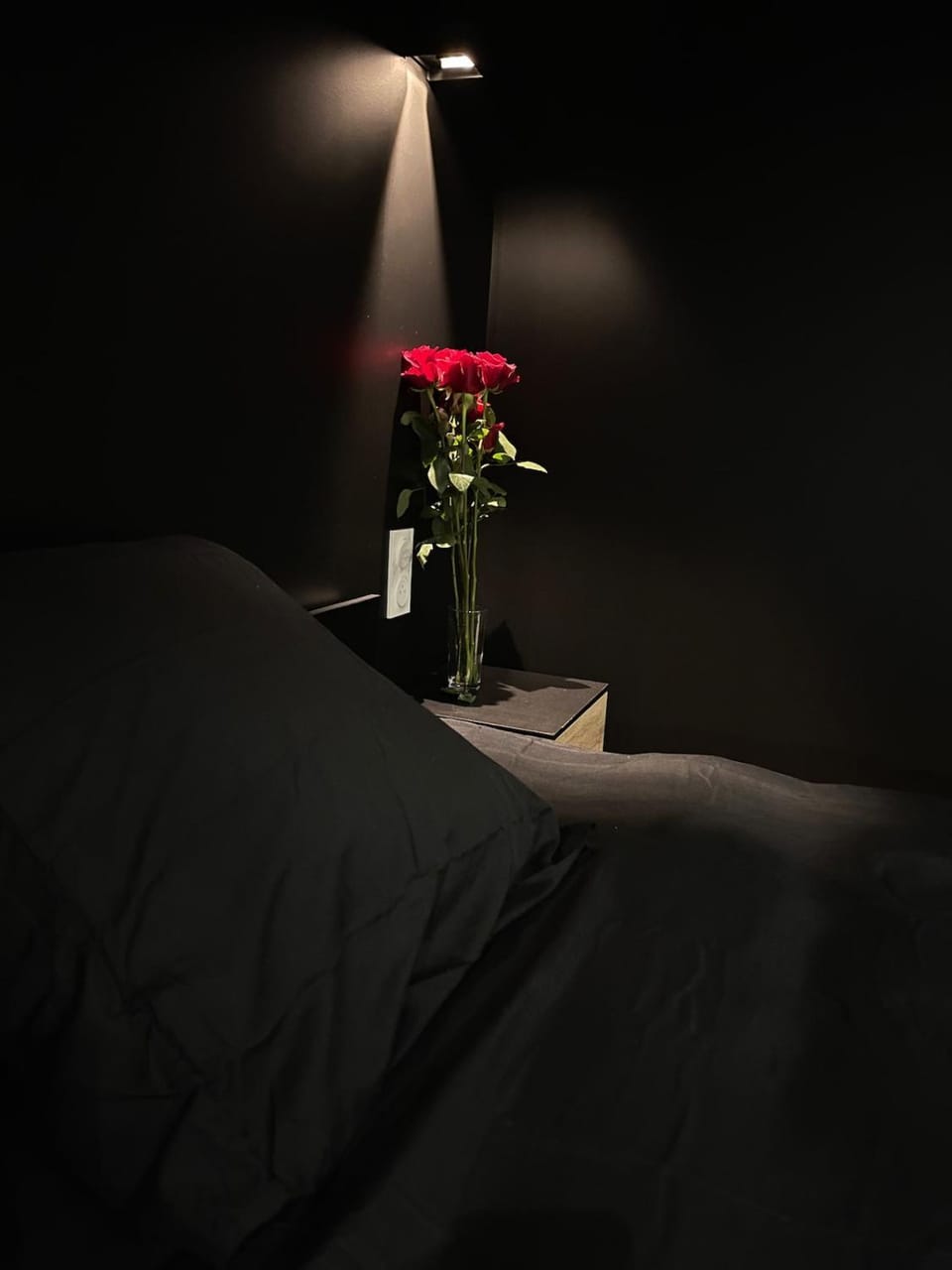 Atypical romantic room Apartment in Auvergne-Rhône-Alpes