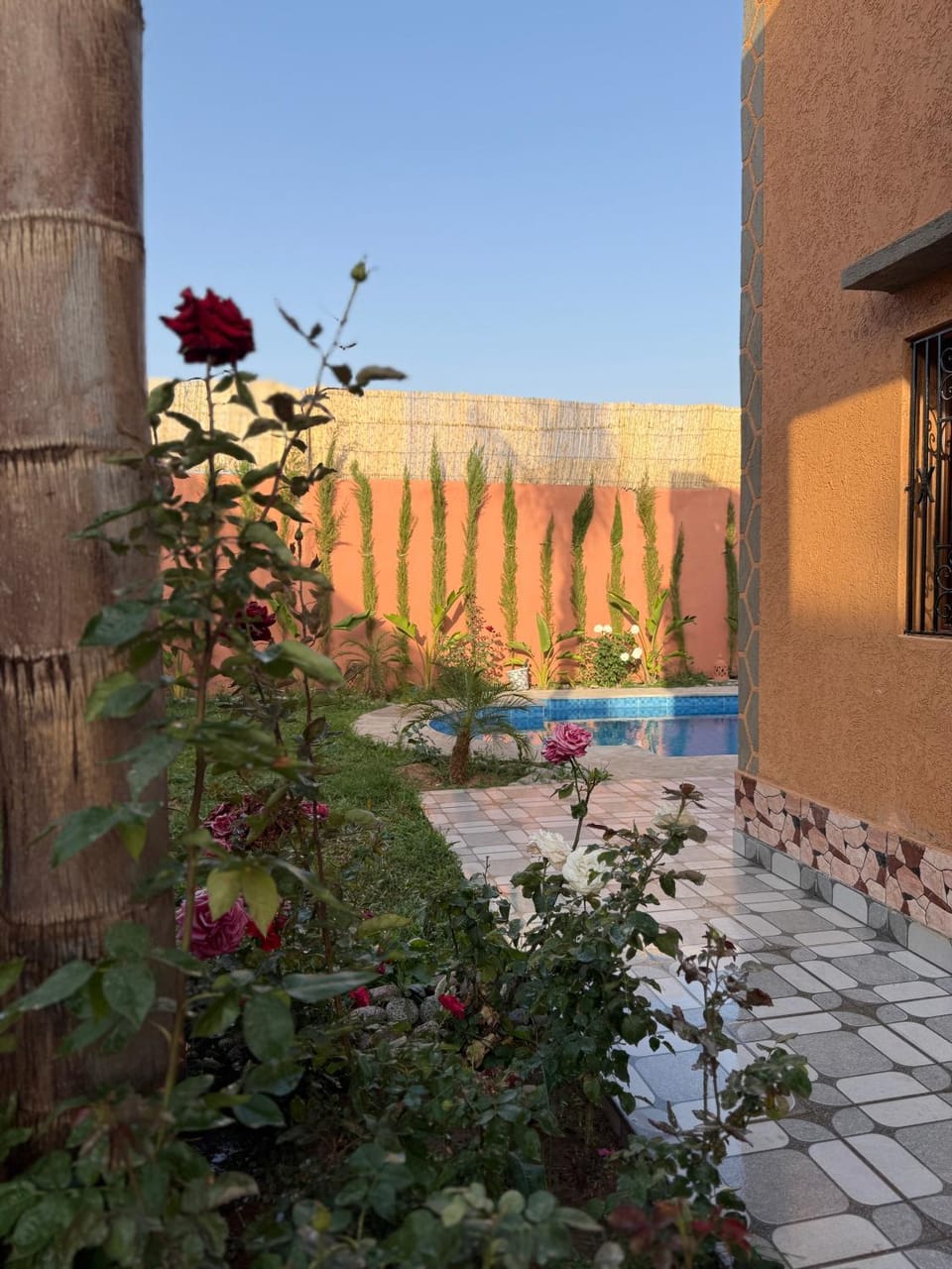 Day, Garden view, Swimming pool