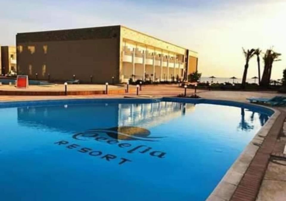 Property building, Day, Pool view, Swimming pool, sunbed