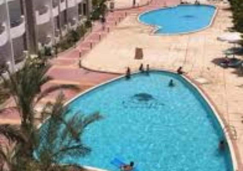 Day, Pool view, Swimming pool, Swimming pool, sunbed