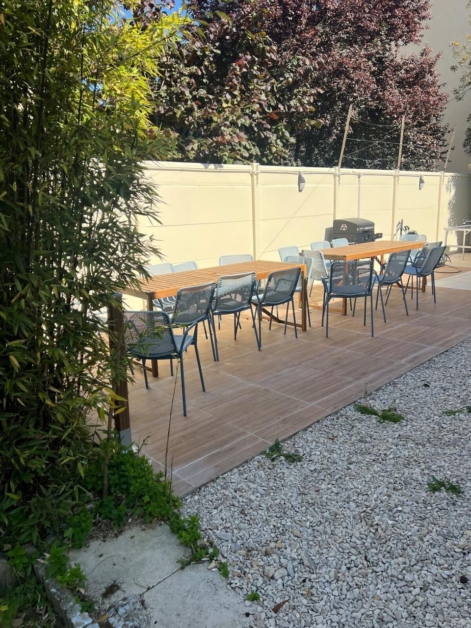 Patio, Day, Natural landscape