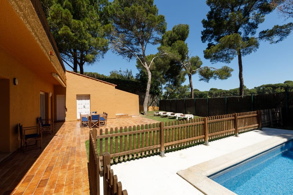 Patio, Pool view, Swimming pool, sunbed