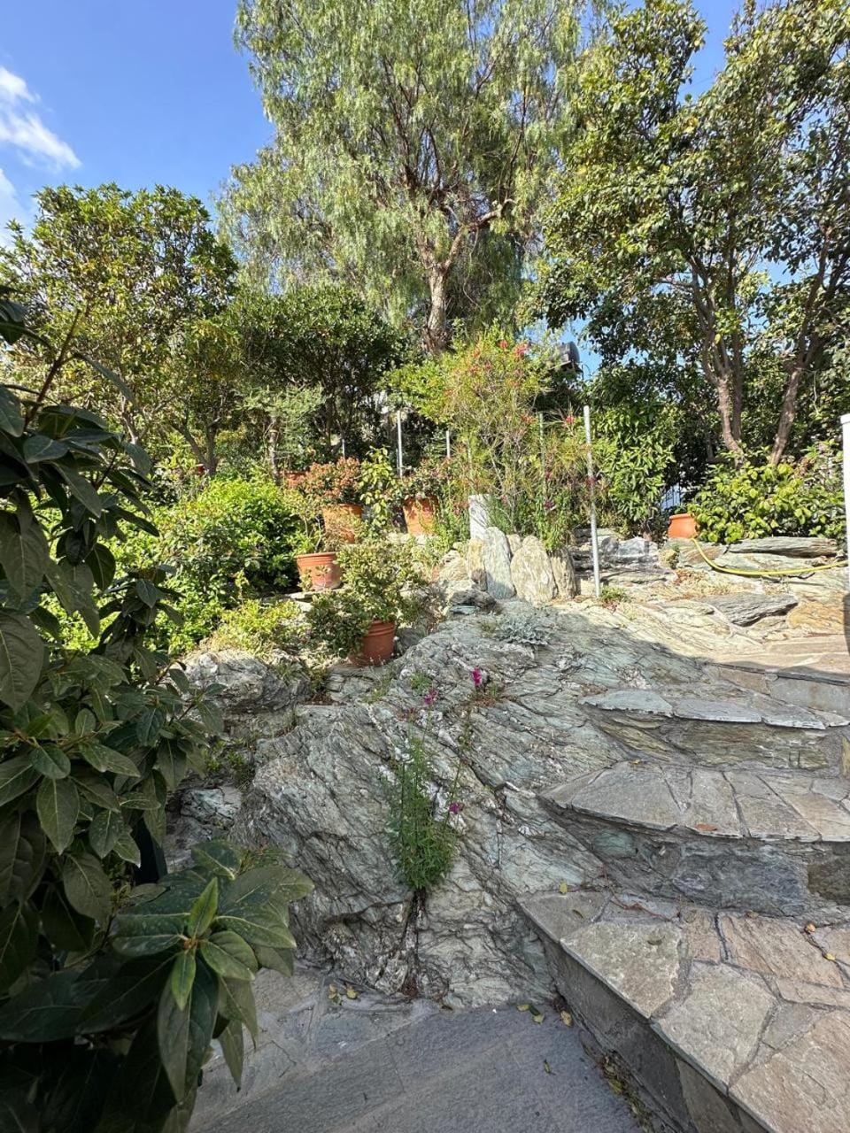 Fishermans Villa Apartment in İzmir Province