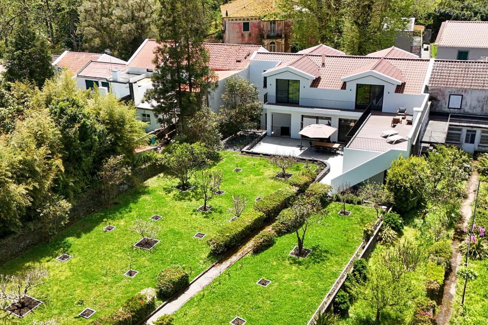 Property building, Day, Natural landscape, Bird's eye view, Garden, Garden view