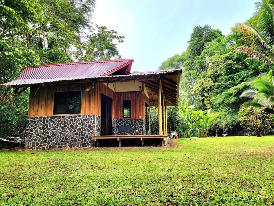 Property building, Natural landscape, Garden