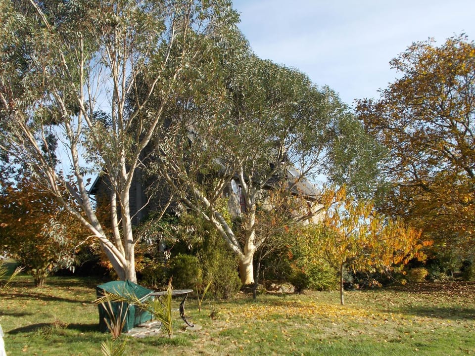 Property building, Garden