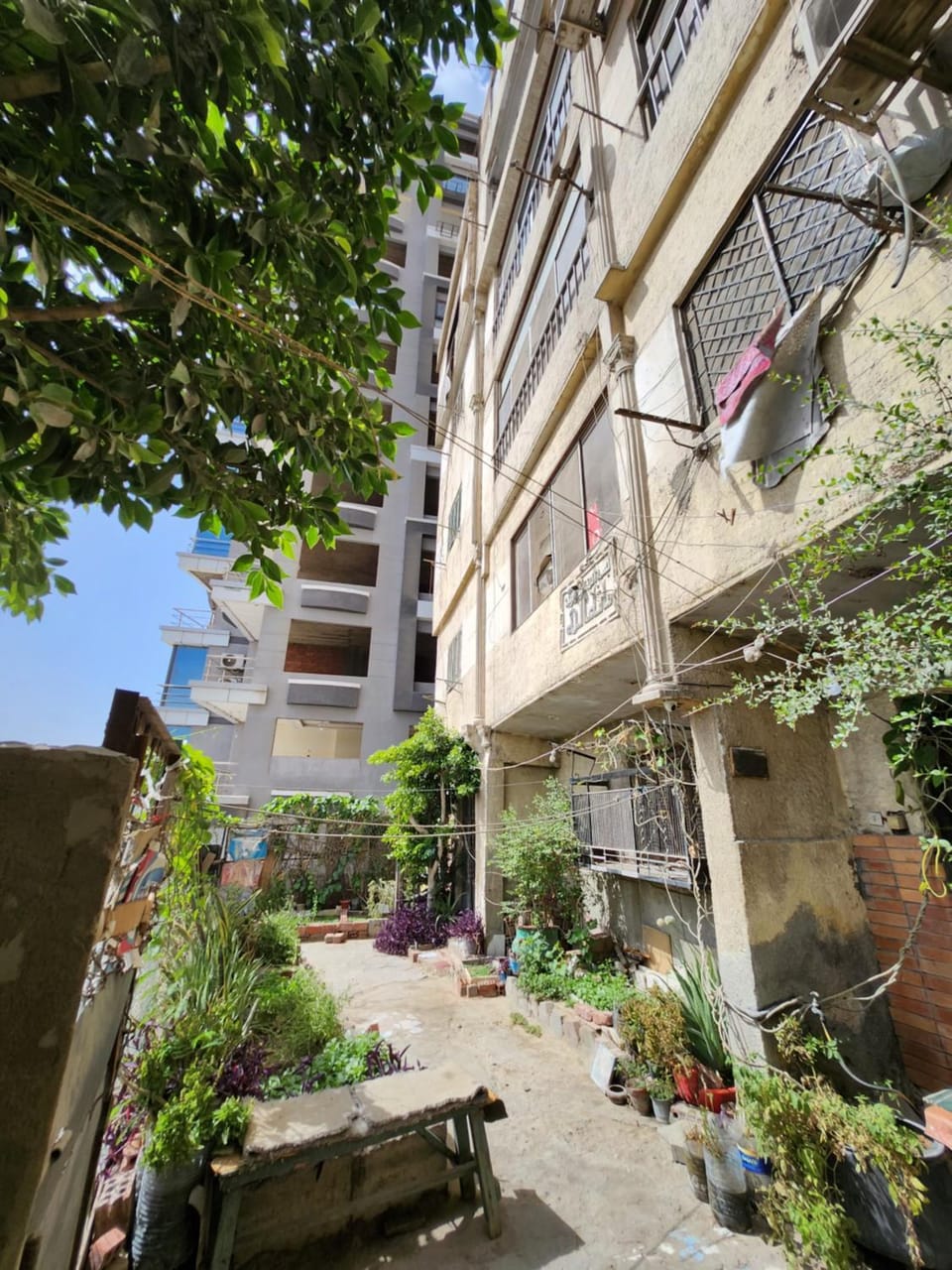 Property building, Garden, Garden view