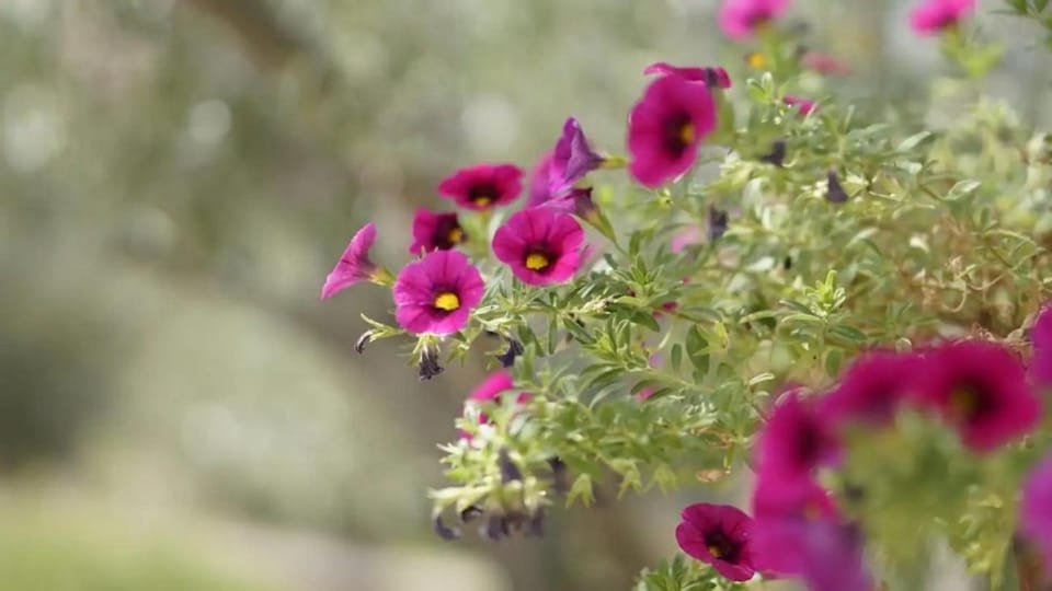 Location, children, Family