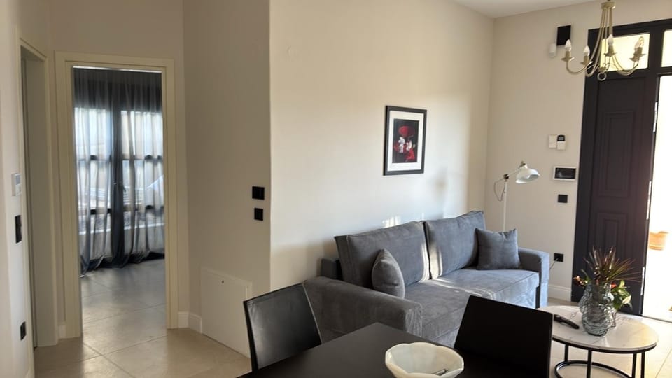 Living room, Photo of the whole room, Seating area, Dining area