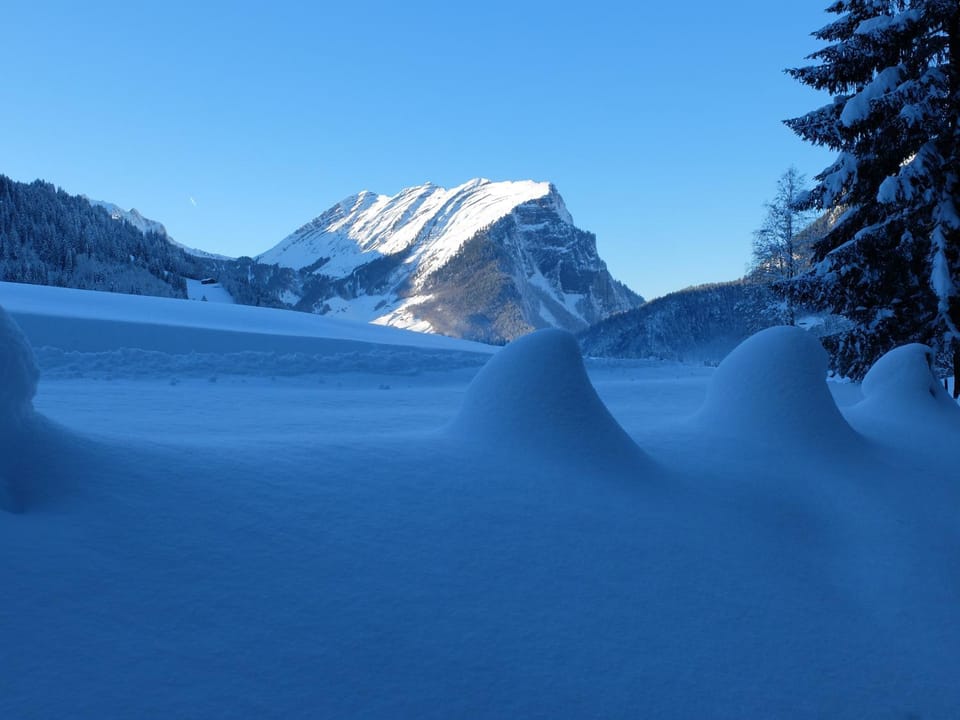 Natural landscape, Winter, Mountain view