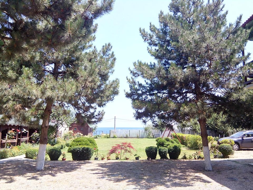 Day, Garden