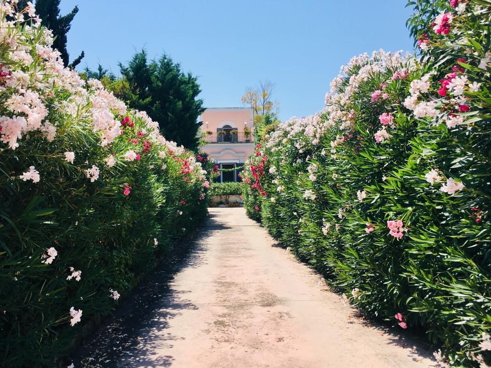 Day, Garden