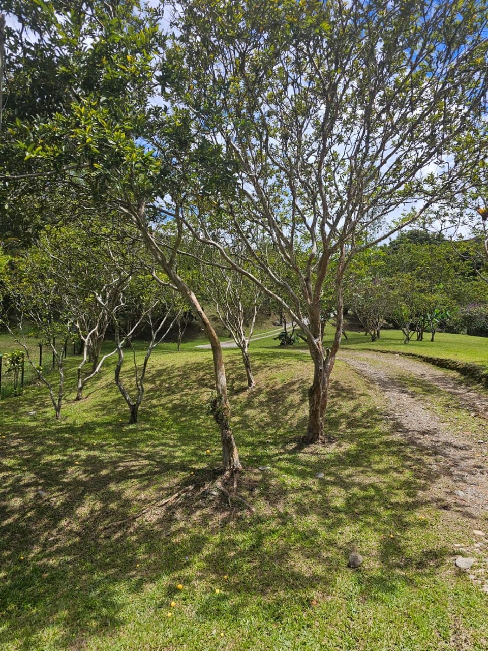 Don tranquilo House in Antioquia