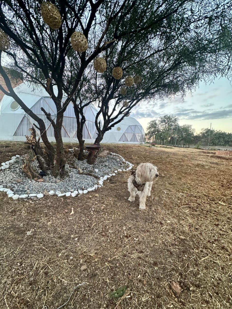 Glamping Campground/ 
RV Resort in State of Querétaro