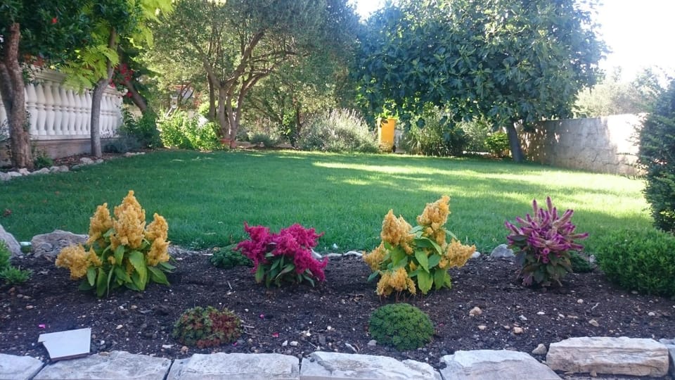 Day, Garden