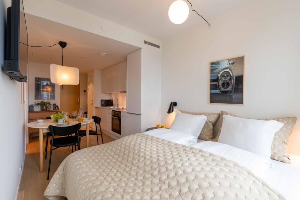 Bed, TV and multimedia, Kitchen or kitchenette, Photo of the whole room, Dining area, Bedroom