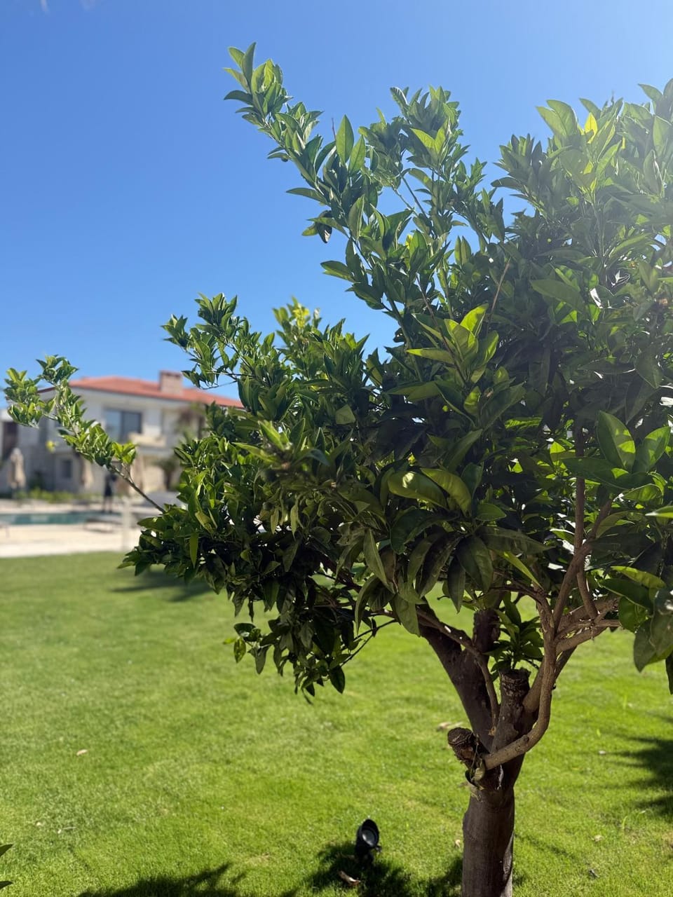 View (from property/room)