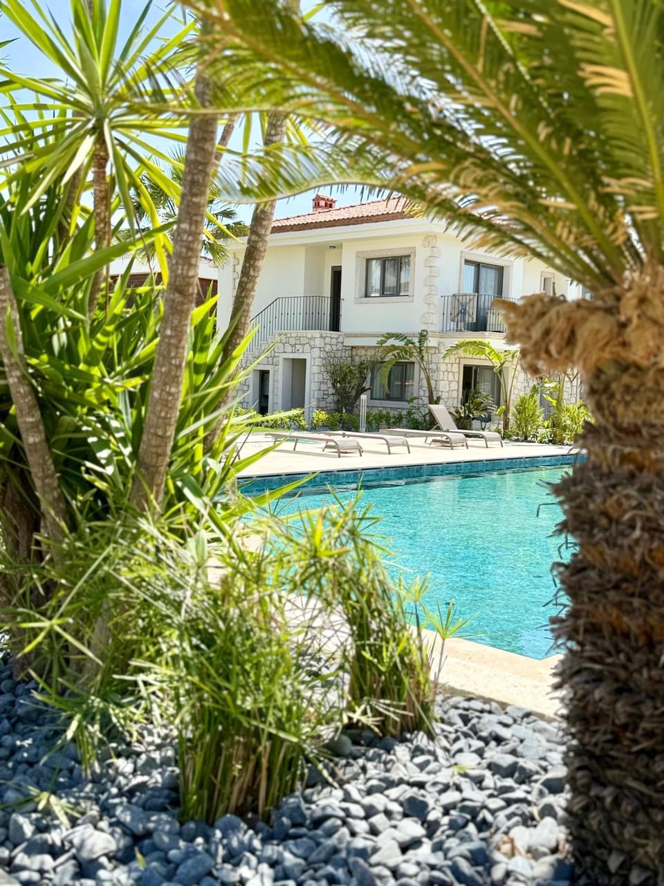 Garden, Pool view, Swimming pool